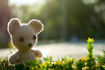Close-up of stuffed toy against plants