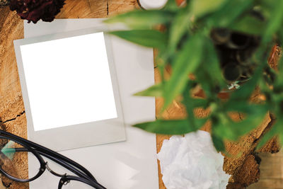 Directly above shot of paper plant on table