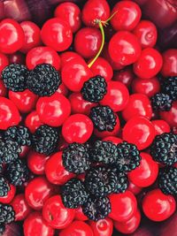 High angle view of red berries in market