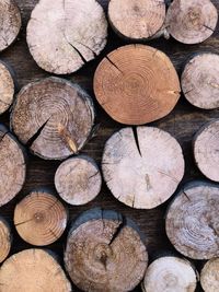 Full frame shot of logs in forest