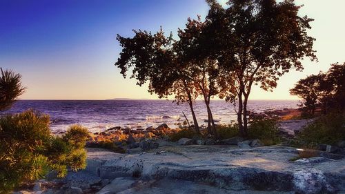 Scenic view of beach at sunset