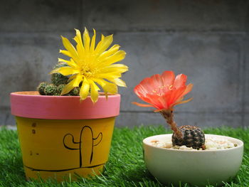 Close-up of yellow flower pot on table