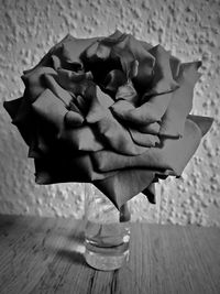 High angle view of rose on table