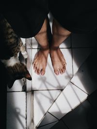 Low section of man standing by cat on tiled floor