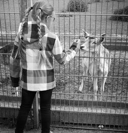 Full length of girl standing in a fence