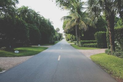 Empty road along trees