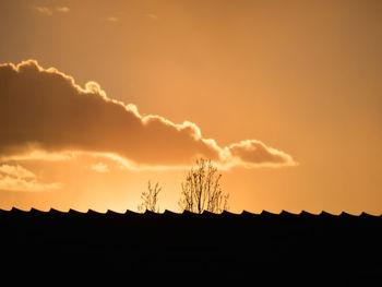 Silhouette plants against dramatic sky during sunset