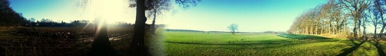 Grassy field against cloudy sky