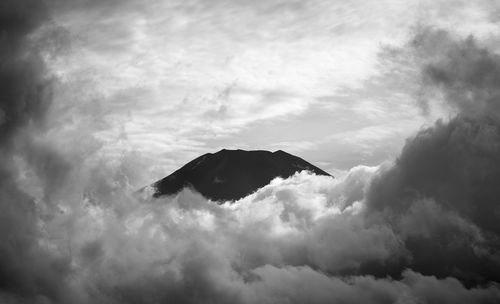 Low angle view of silhouette bird flying in sky