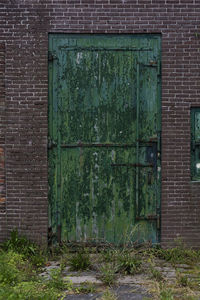 Close-up of closed green door