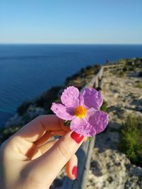 Close-up of hand holding flower against sea