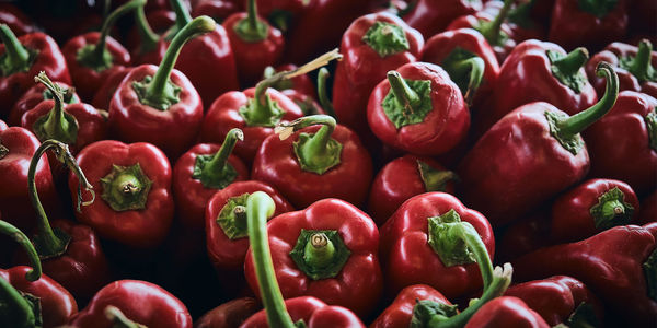 Ripe bell peppers on a farmer market. organic red peppers for sale