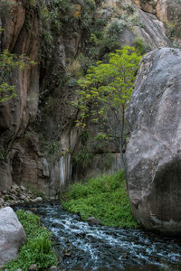 Stream flowing through rocks in forest