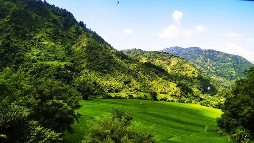 Scenic view of landscape against sky