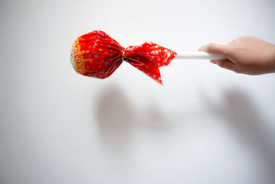 Cropped hand holding lollipop by white wall