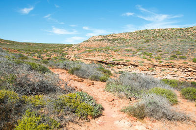 Scenic view of landscape against blue sky