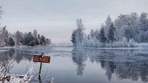 Reflection of trees in water