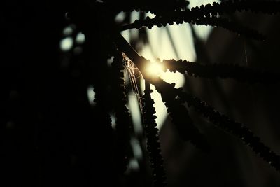 Close-up of illuminated lights against sky