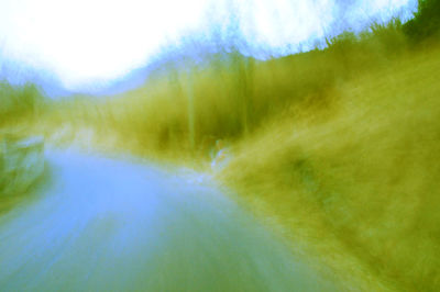 Close-up of grass against sky