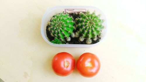 Directly above shot of tomatoes