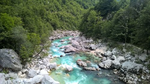 Scenic view of river in forest against sky