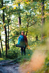 Rear view of hiker walking on footpath in forest