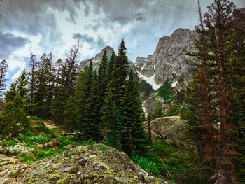 Grand teton mountains