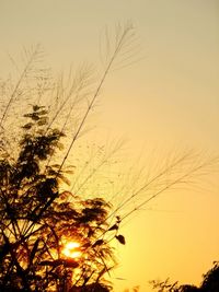 Low angle view of silhouette birds flying against sky at sunset