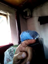 Midsection of woman holding hands at home