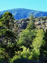 Scenic view of mountains