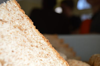 Close-up of tree trunk