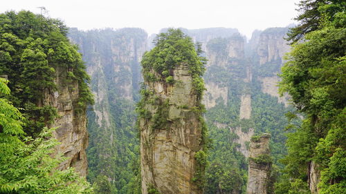 Scenic view of rocky mountains at zhangjiajie national forest park