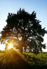 Rear view of man standing on field against clear sky