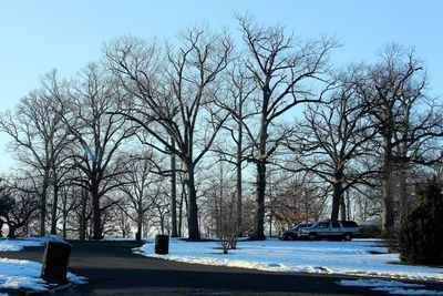 Bare trees during winter against sky