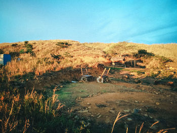 Scenic view of field against blue sky