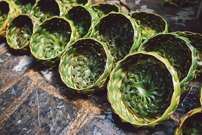 High angle view of succulent plants on table