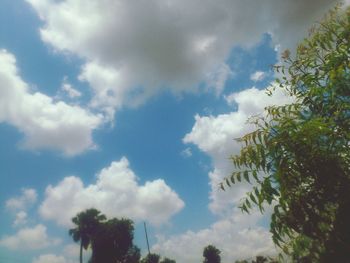 Low angle view of trees against cloudy sky
