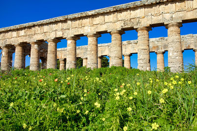 Italy, sicily, segesta - greek temple counts of 36 columns