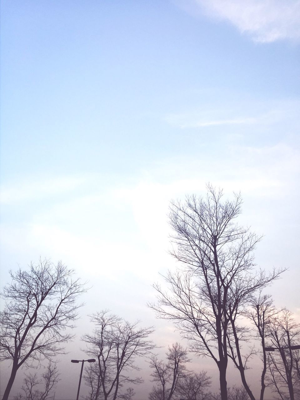 bare tree, tree, tranquility, sky, low angle view, tranquil scene, scenics, silhouette, beauty in nature, branch, nature, cloud - sky, blue, outdoors, cloud, no people, day, non-urban scene, idyllic, landscape