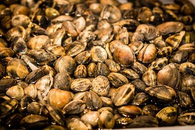 Full frame shot of roasted coffee