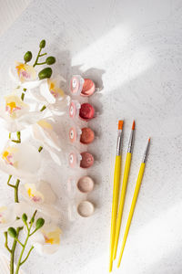 High angle view of paintbrushes on table