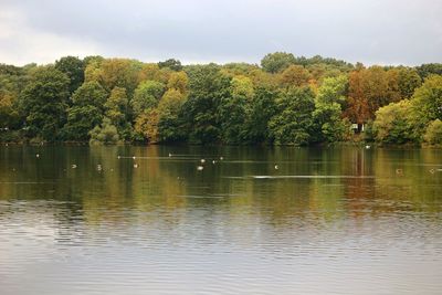 Scenic view of lake by trees against sky