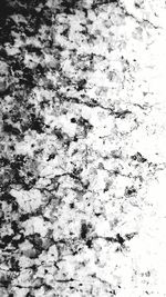 Full frame shot of tree