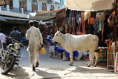 Rear view of people on street in city