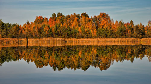 Scenic view of lake against sky during autumn