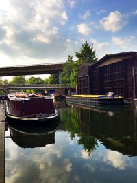 Reflection of trees in water