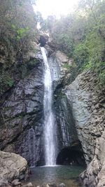 Scenic view of waterfall in forest