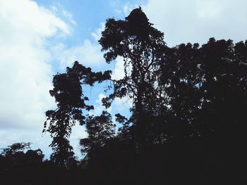 Low angle view of silhouette trees against sky during sunset