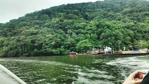 Scenic view of river by trees against sky