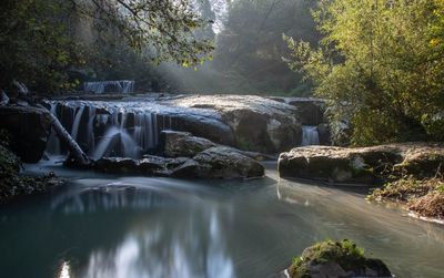 Scenic view of waterfall in forest